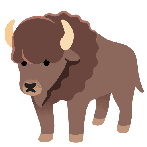 Bison