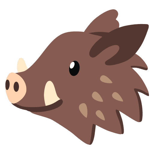 Boar