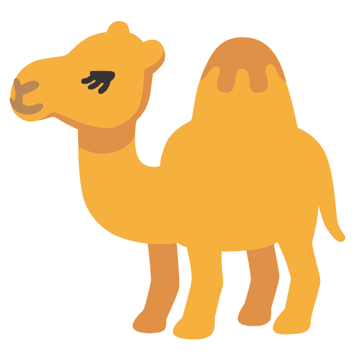 Camel