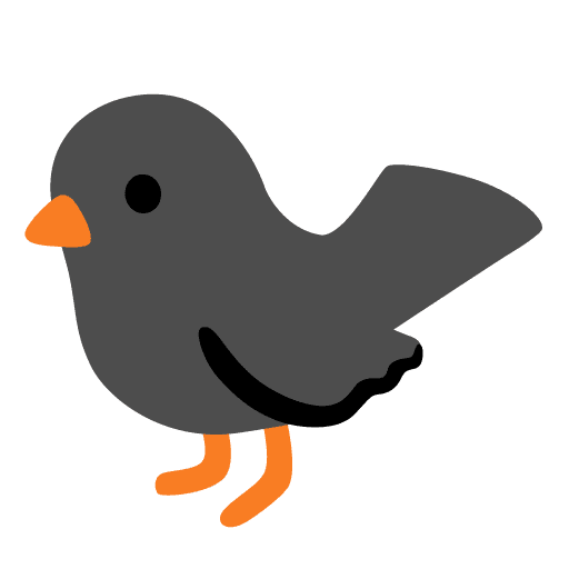 Burung Hitam
