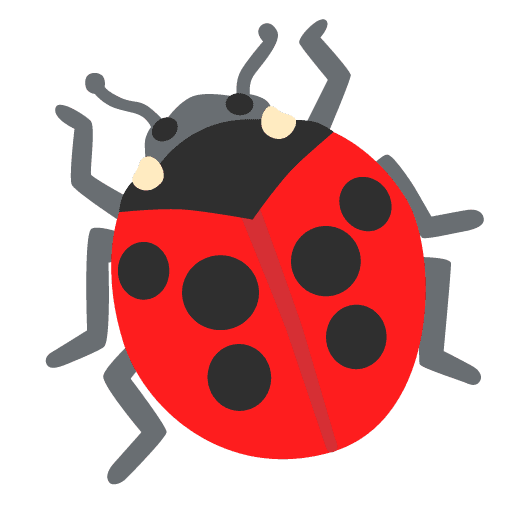 Lady Beetle