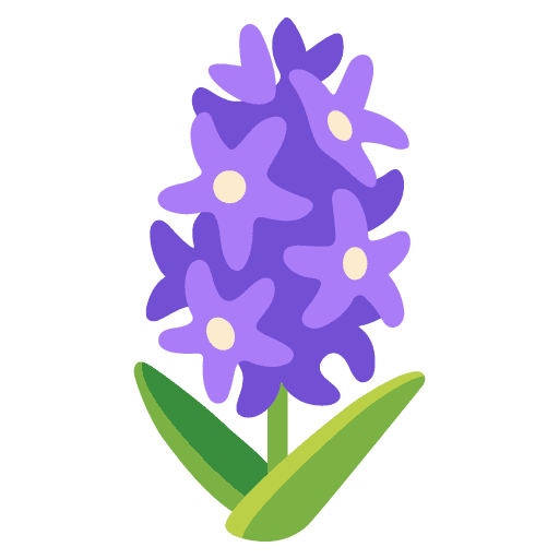 Hyacinth