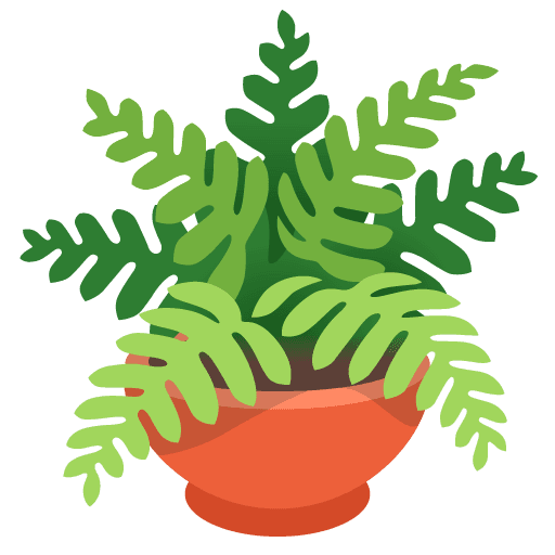 Potted Plant