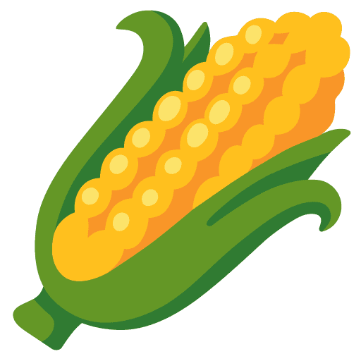 Ear of Corn