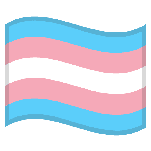 Bendera Transgender