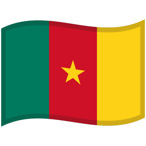 Flag: Cameroon