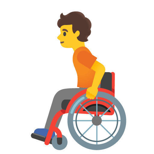 Person in Manual Wheelchair