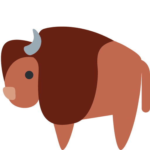 Bison