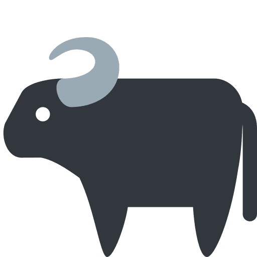 Water Buffalo