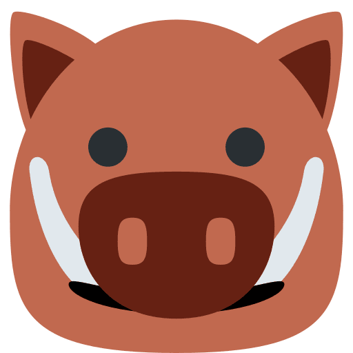 Boar