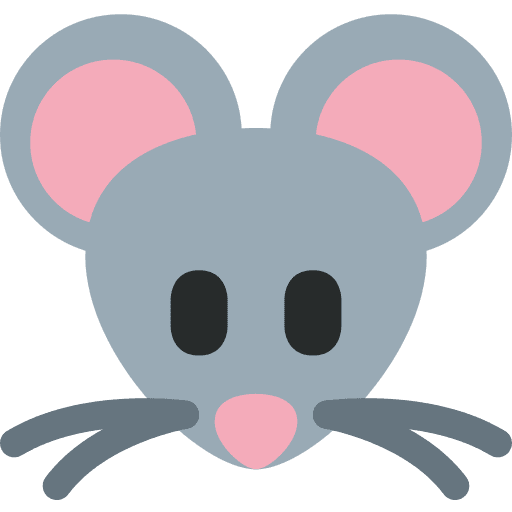 Mouse Face