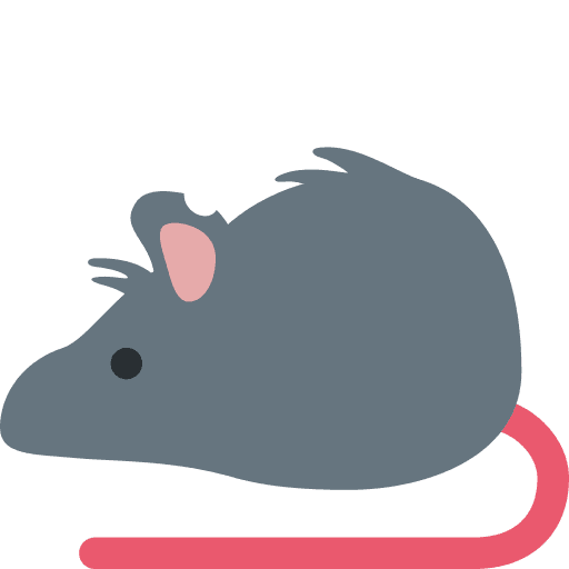 Rat