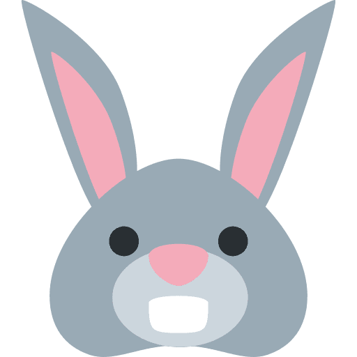 Rabbit Face