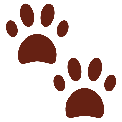 Paw Prints