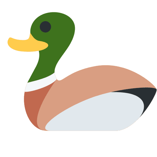 Duck