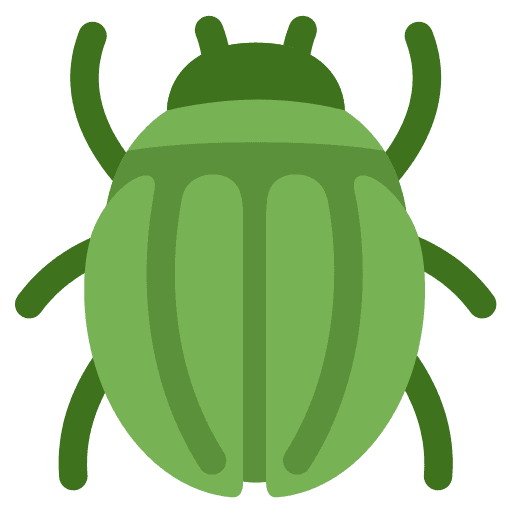 Beetle