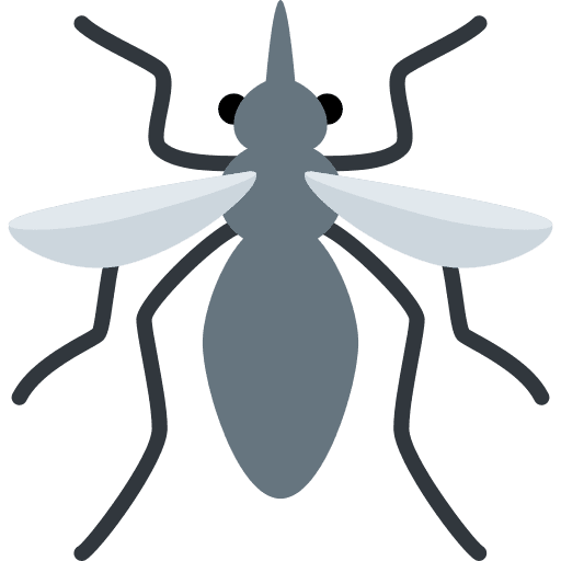 Mosquito