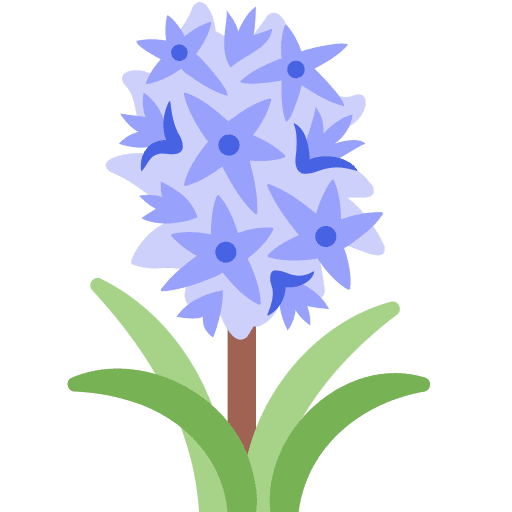 Hyacinth