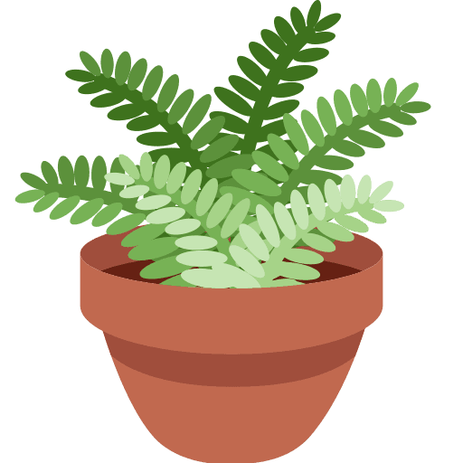 Potted Plant