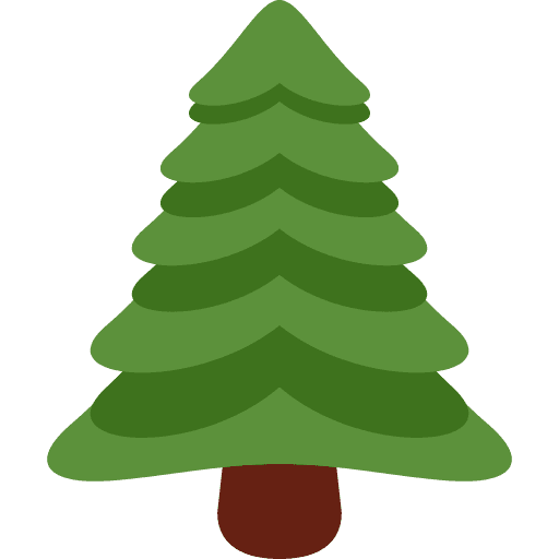 Evergreen Tree