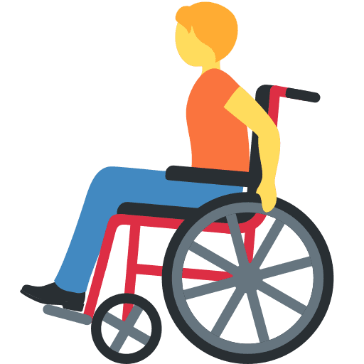 Person in Manual Wheelchair