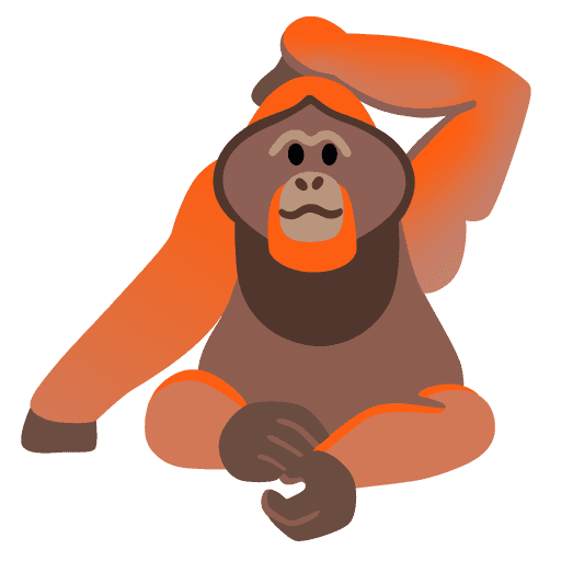 Orangutan